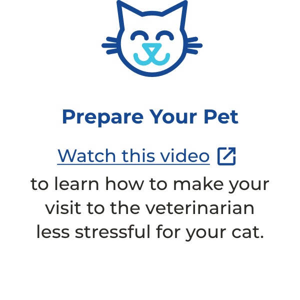 Prepare your pet: Watch this video to learn how to make your visit to the veterinarian less stressful for your cat.