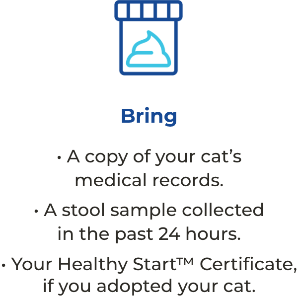 Bring a copy of your cat’s medical records, a stool sample collected in the past 24 hours, and your Healthy Start Certificate, if you adopted your cat.